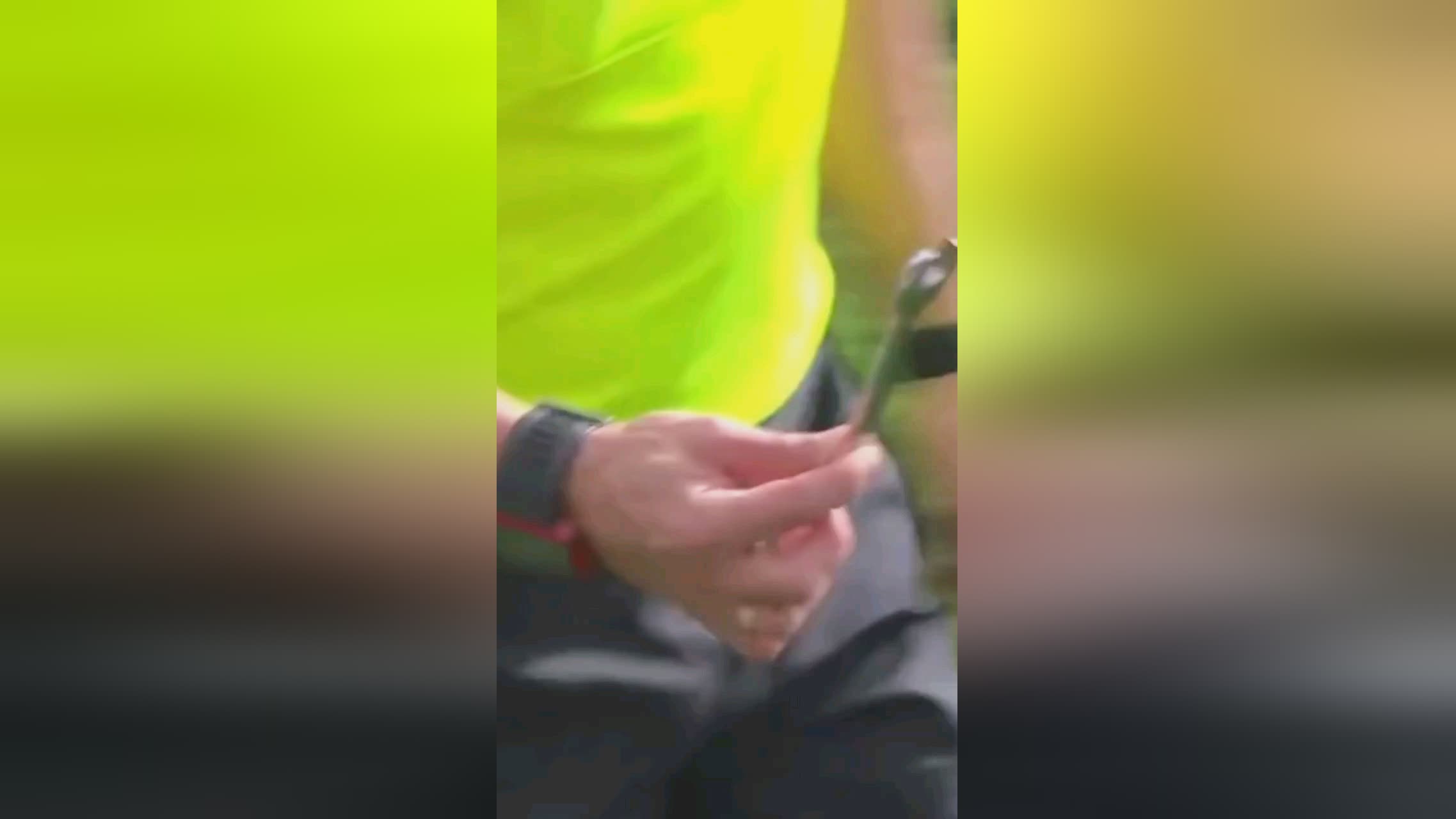 的故事前几